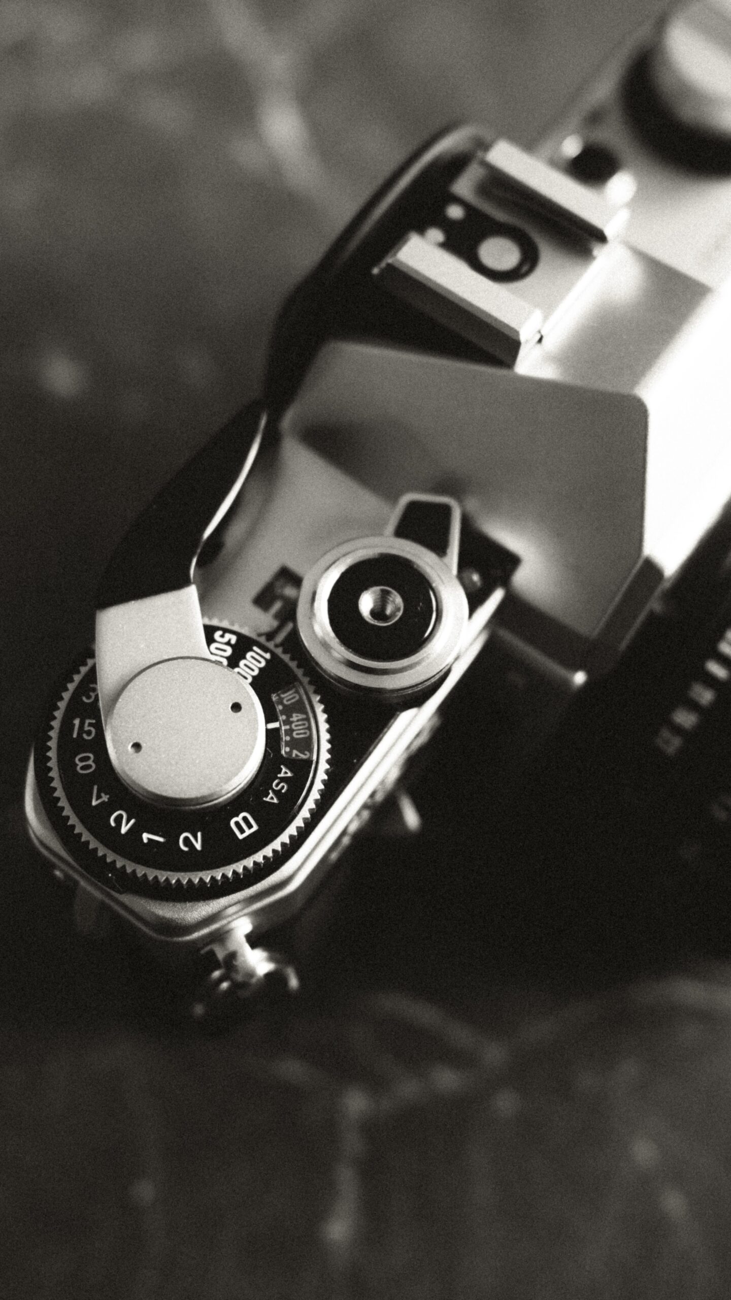 Say H E L L O to my newest (winter) project 🎞️🤩

Har modtaget det flotteste analog kamera i dag. Hele vejen fra Tyskland. Det ser helt ny ud. Jeg glæder mig til at teste det af. 

Any recommendations on 35mm film? 💫 

#canon #canonfilmcamera #analogphotography #filmphotography #canonae1film