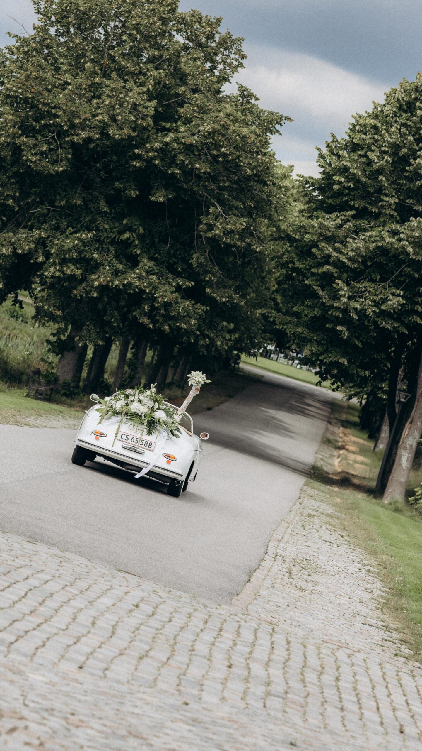 Jeg elsker at fotografere – det er det, jeg brænder for! Billederne er det, du vender tilbage til igen og igen 🤍

Men video kan noget andet. Levende billeder lader dig opleve dagen igen – og mærke stemningen i sin helhed. 

Der er virkelig noget helt særligt ved at have begge dele på sin bryllupsdag. For nogle øjeblikke er bare rare at kunne se tilbage på, og andre har man brug for at kunne mærke igen.

Jeg er igen i år blevet booket til heldagsbryllupper med både foto og video, og det føles ret stort. For det er præcis det, jeg har arbejdet målsat hen imod det sidste år. 

At møde brudepar, der kan se værdien i at have begge dele betyder virkelig meget. 

Tak for tilliden 🤍

🎬 Video: @shotbybalder 
✨ Produktion og redigering @ciliebaggerphotography 

#weddingday #bryllupsfotografering #weddingvideographers #weddingvideo #bryllupsfotograf